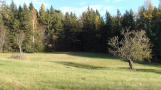 - OLD STAGECOACH RD, Hampton, New Brunswick (ID SJ105110)
