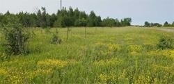 Lot 7 Highway 48 Rd, Brock, Ontario (ID N4659619)