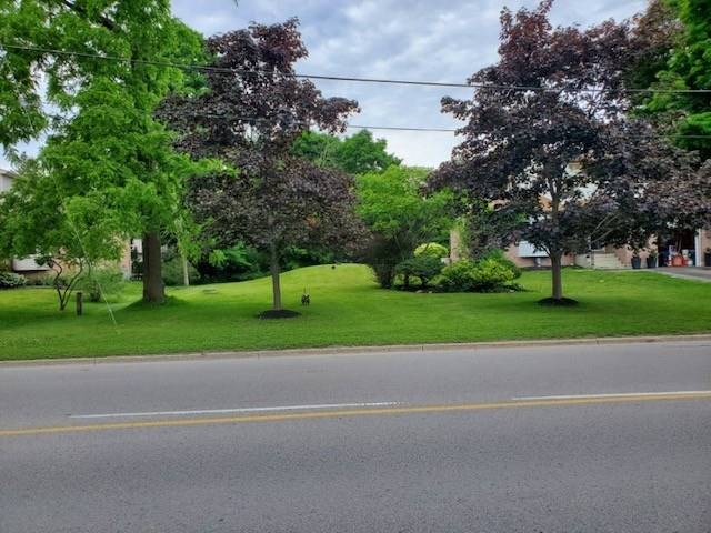 5382 Black River Rd, Georgina, Ontario (ID N5657972)