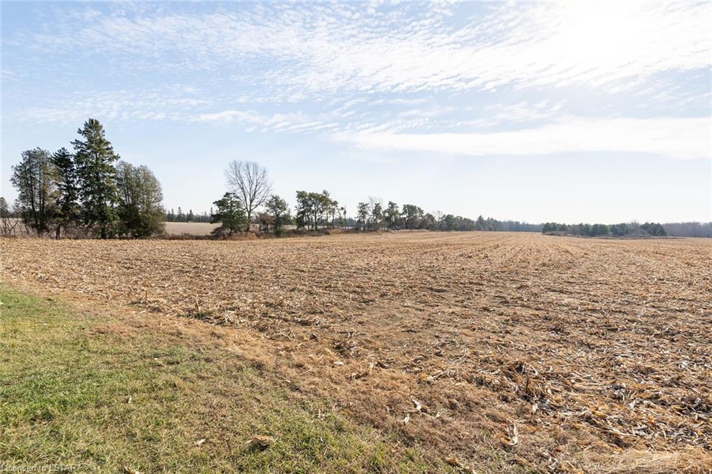43315 ROBERTS LINE Line, Union, Ontario (ID 40045449)