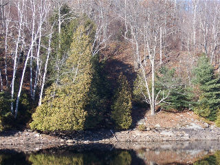 1603 CLAUDE BROWN RD , Minden, Ontario (ID 461601000027500)