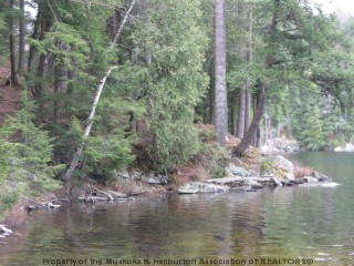 NORTH LIPSY LAKE ROAD, West Guilford, Ontario (ID 462404100071880)