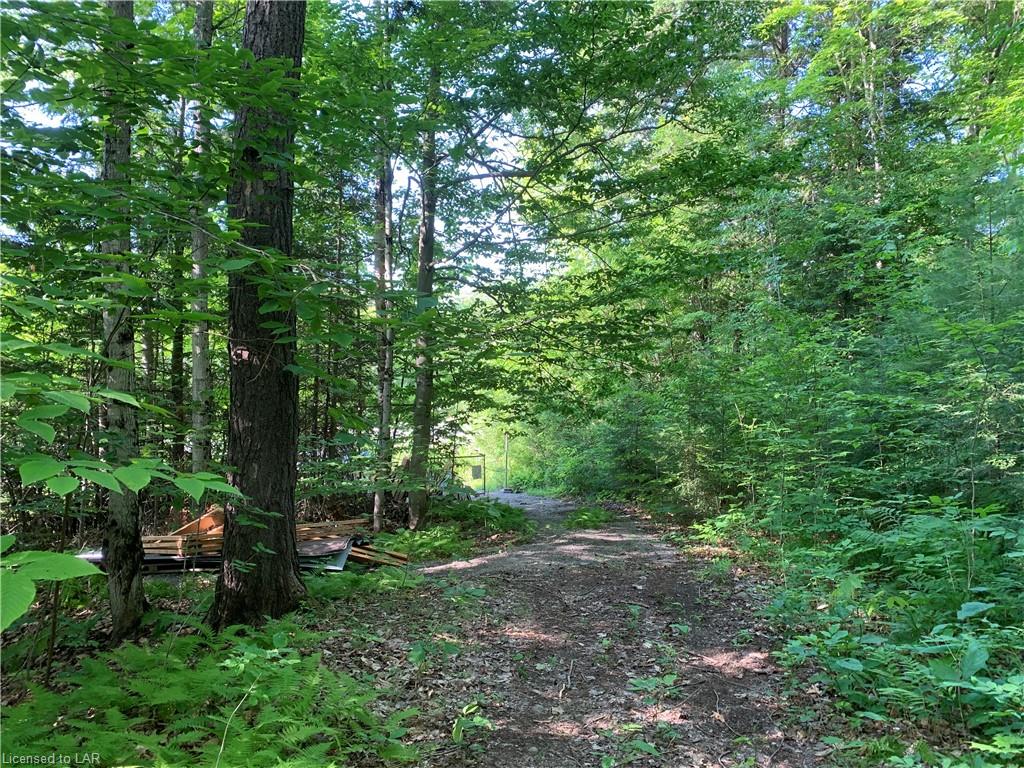 MUSKOKA ROAD 117 Highway, Dorset, Ontario (ID 233791)