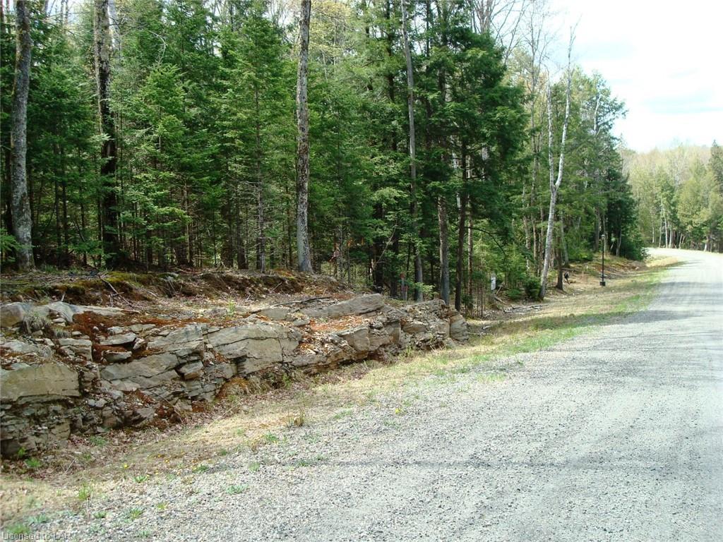LOT 2 NORTH Street, Haliburton, Ontario (ID 216579)