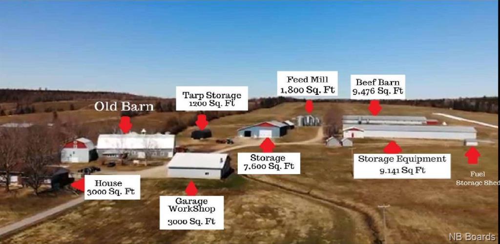 3154 105 Route, Bear Island, New Brunswick (ID NB042845)