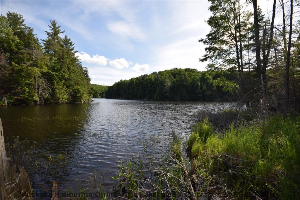 WEST SETTLEMENT RD, Haliburton, Ontario (ID 391470180)