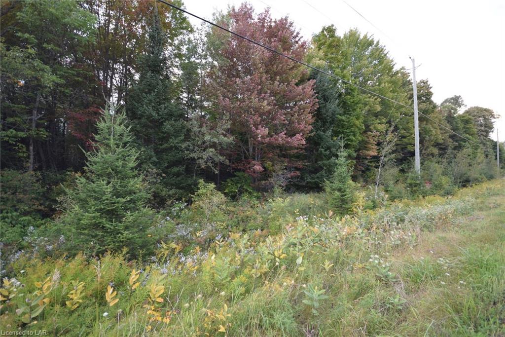 # 503 Highway, Gooderham, Ontario (ID 112723)