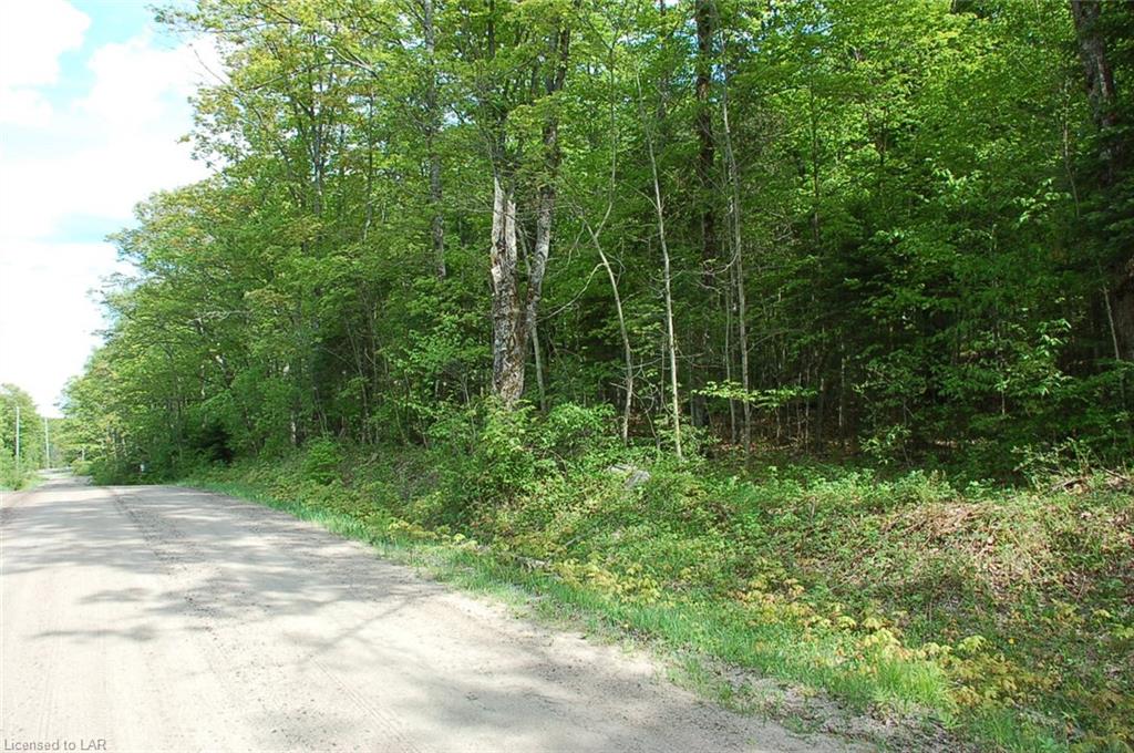 - LOON LAKE Road, Haliburton, Ontario (ID 121891)