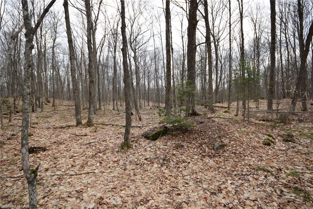 - ROSS LAKE Road, Haliburton, Ontario (ID 123810)