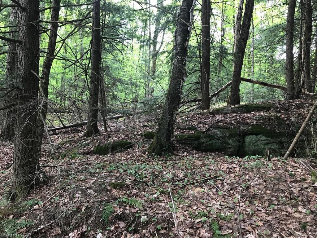 - LODGE Lane, Minden, Ontario (ID 128895)