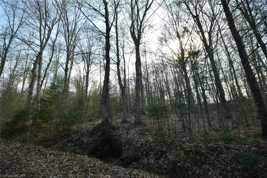 - JORDAN LAKE Road, Haliburton, Ontario (ID 129587)