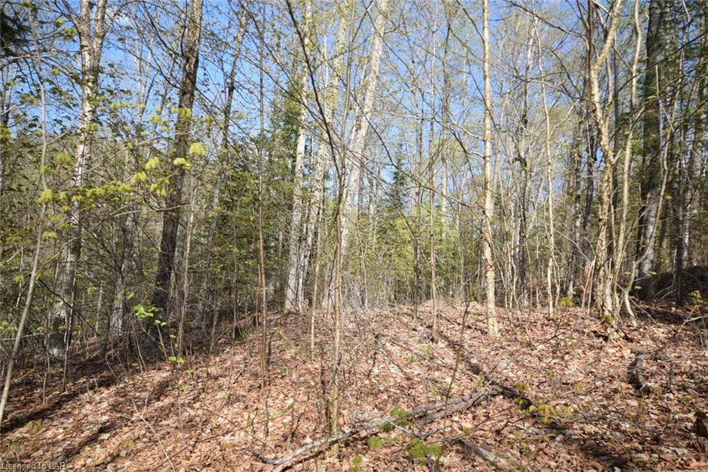 - JORDAN LAKE Road, Haliburton, Ontario (ID 129935)