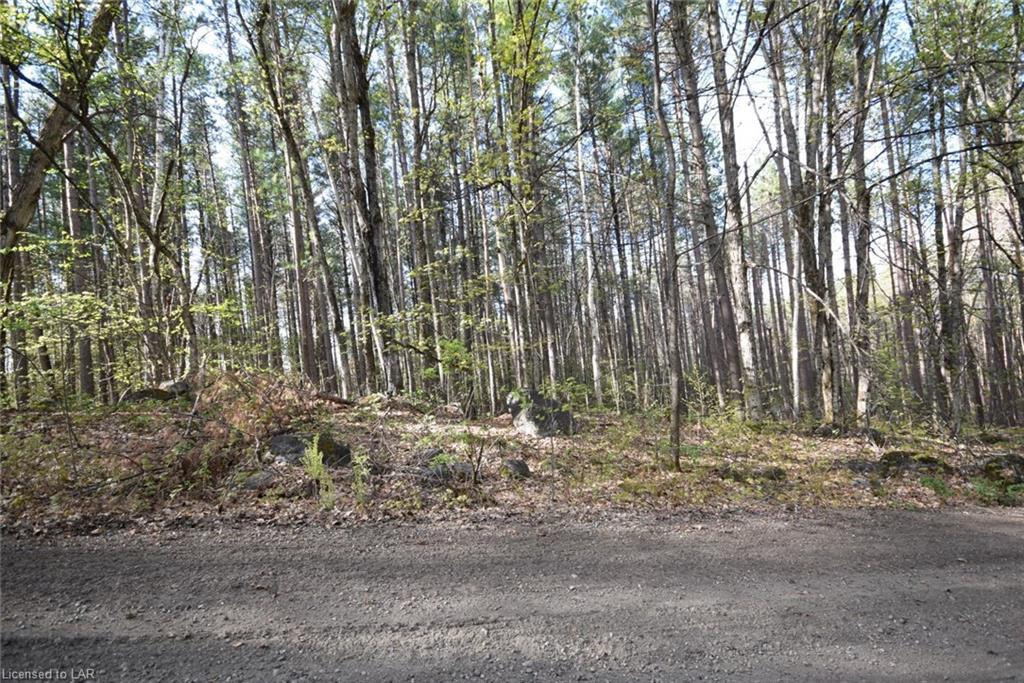 - JORDAN LAKE Road, Haliburton, Ontario (ID 131326)