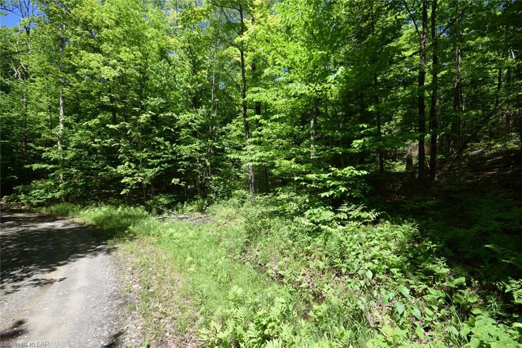 - HARBURN Road, Haliburton, Ontario (ID 131867)