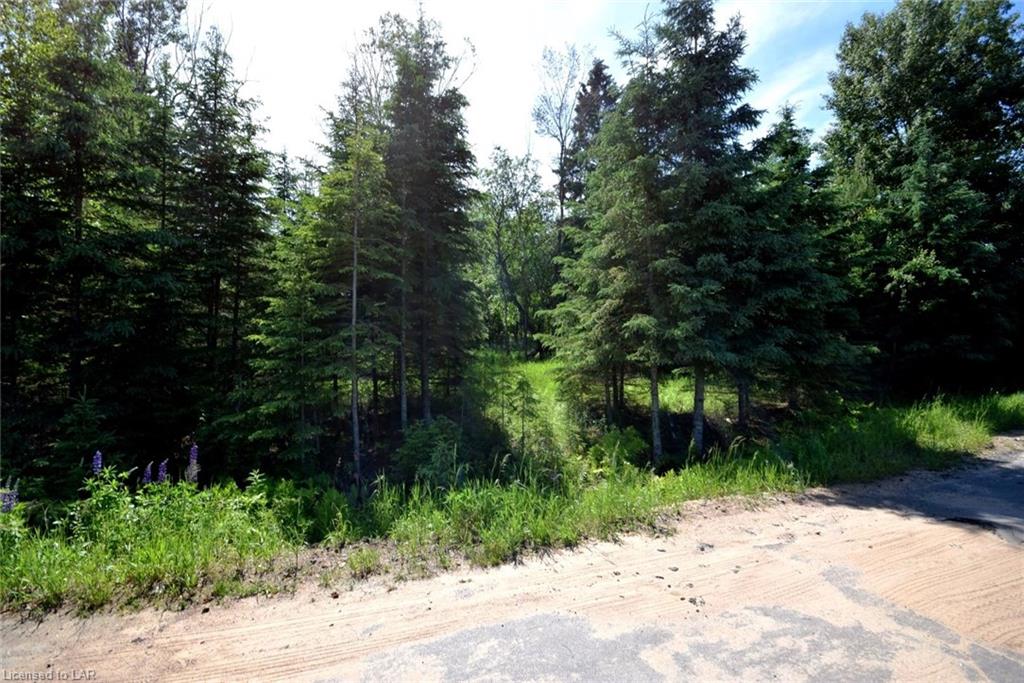 LOT 17 HALBIEM Crescent, Haliburton, Ontario (ID 135228)