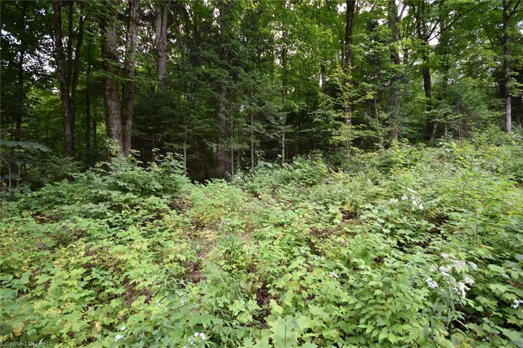 - LOON LAKE Road, Haliburton, Ontario (ID 152412)