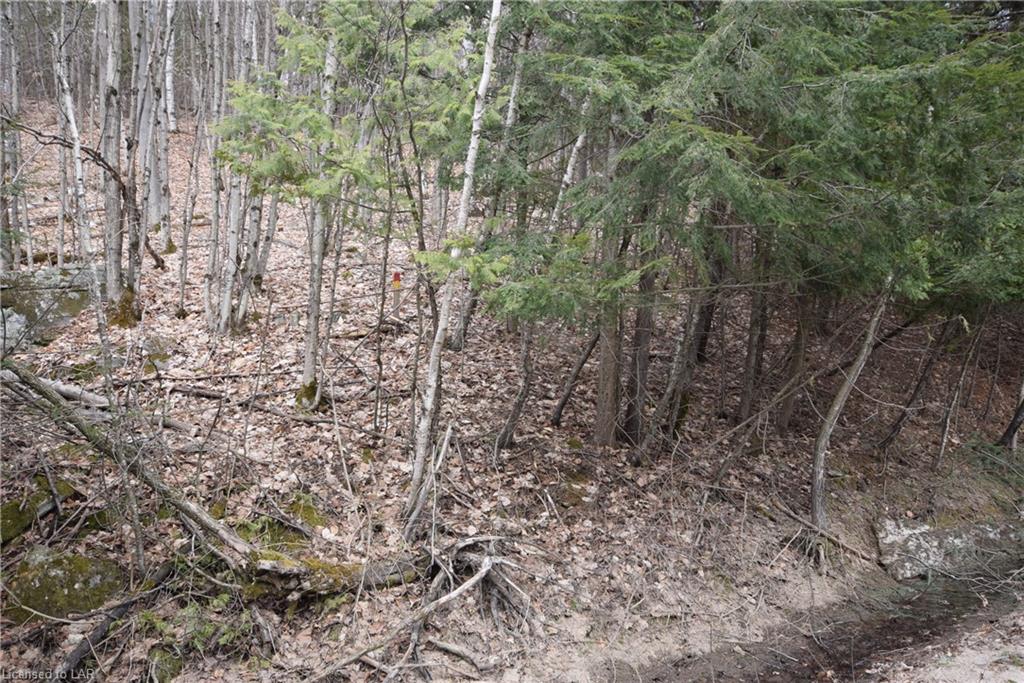 - WIGAMOG Road, Haliburton, Ontario (ID 167758)