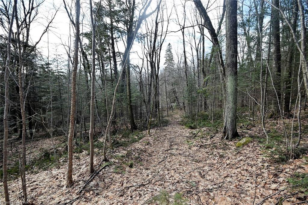 - GLAMORGAN Road, Haliburton, Ontario (ID 188929)
