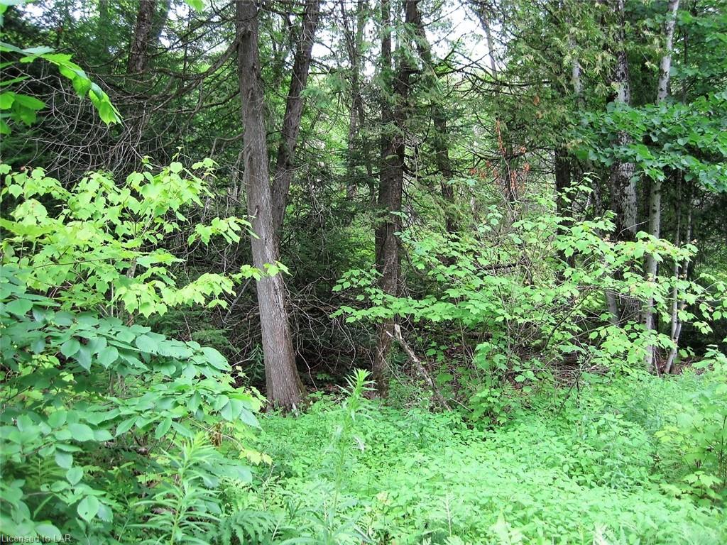 - HEARTS CONTENT Drive, Haliburton, Ontario (ID 210484)