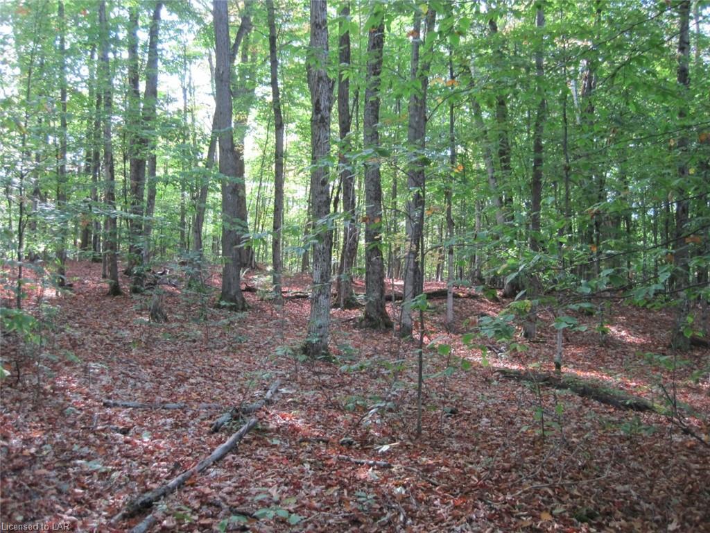 - TOWER Road, Haliburton, Ontario (ID 223844)