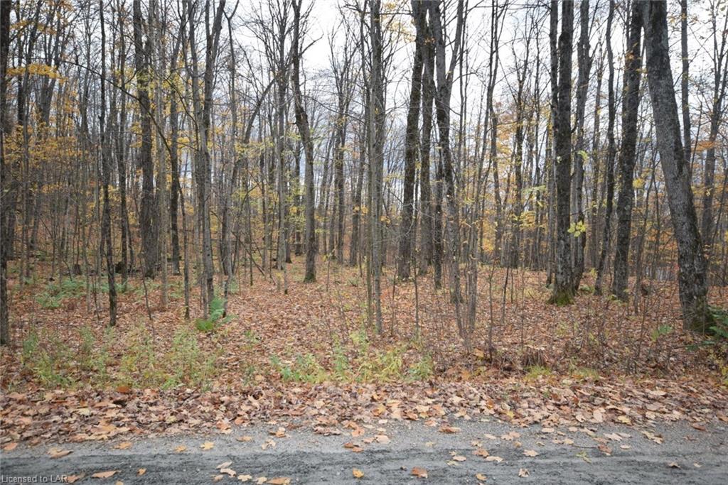 LOT 51 WENONA LAKE Road, Haliburton, Ontario (ID 230184)