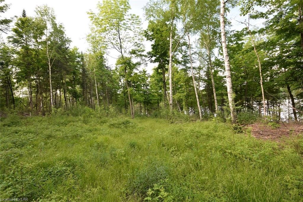 - MORAINE Drive, Highlands East, Ontario (ID 204487)