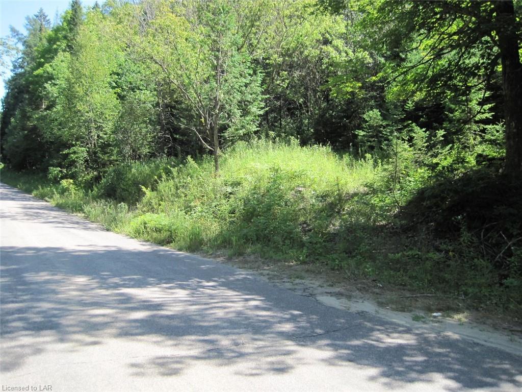 - FRED JONES Road, Haliburton, Ontario (ID 235880)