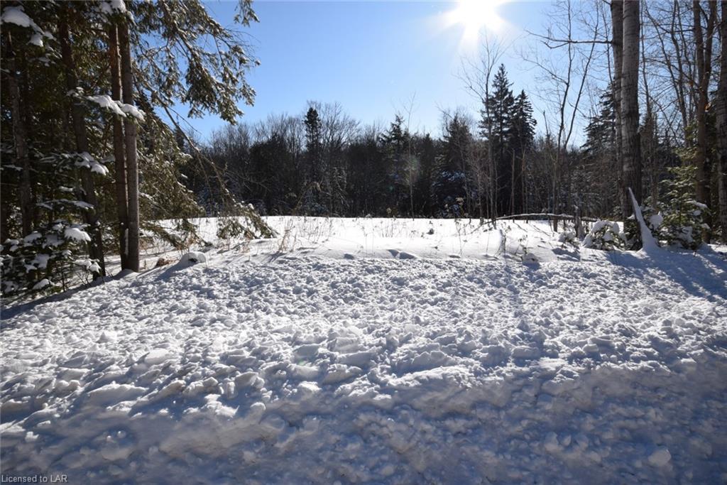 1532 REYNOLDS Road, Minden, Ontario (ID 240937)