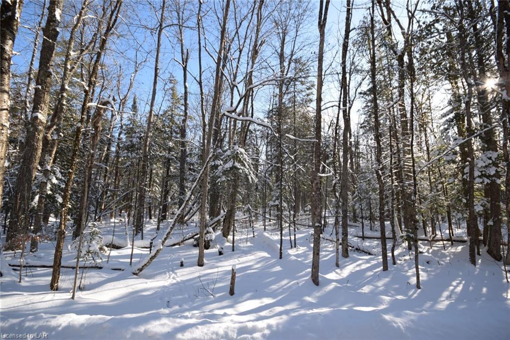 LOT 32 ERIC POTTER Road, Haliburton, Ontario (ID 241145)