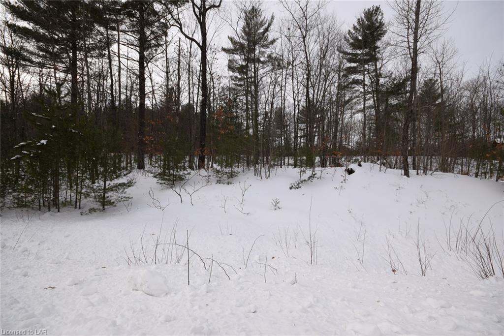 LOT 23 DEEP BAY Road, Minden, Ontario (ID 241540)