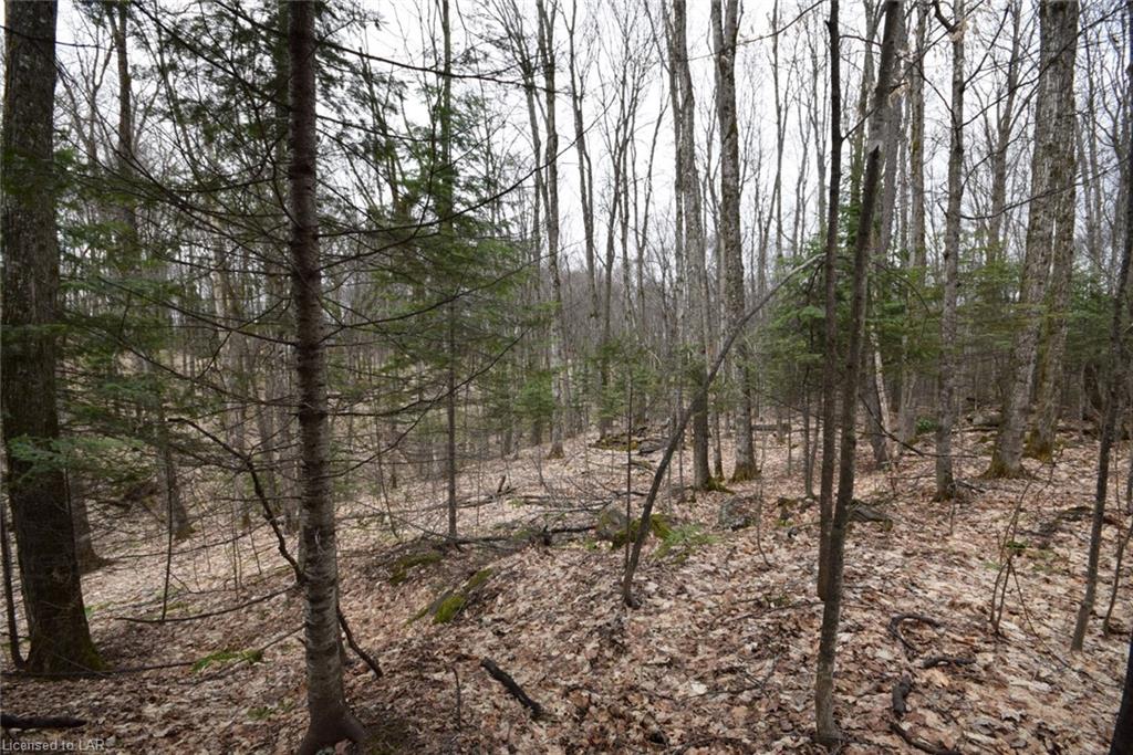 LT 39 TRAPPERS TRAIL Road, Haliburton, Ontario (ID 246174)