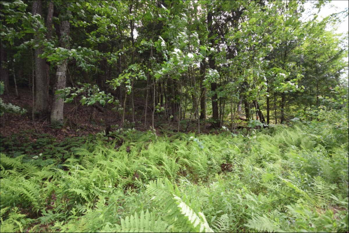 1195 TWIST Lane, Haliburton, Ontario (ID 247527)