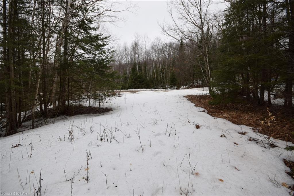 LOT 26 TATTERSAL Road, Haliburton, Ontario (ID 253350)