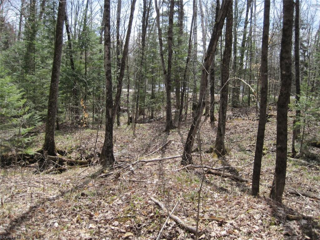 - WONDERLAND Road, Haliburton, Ontario (ID 257355)