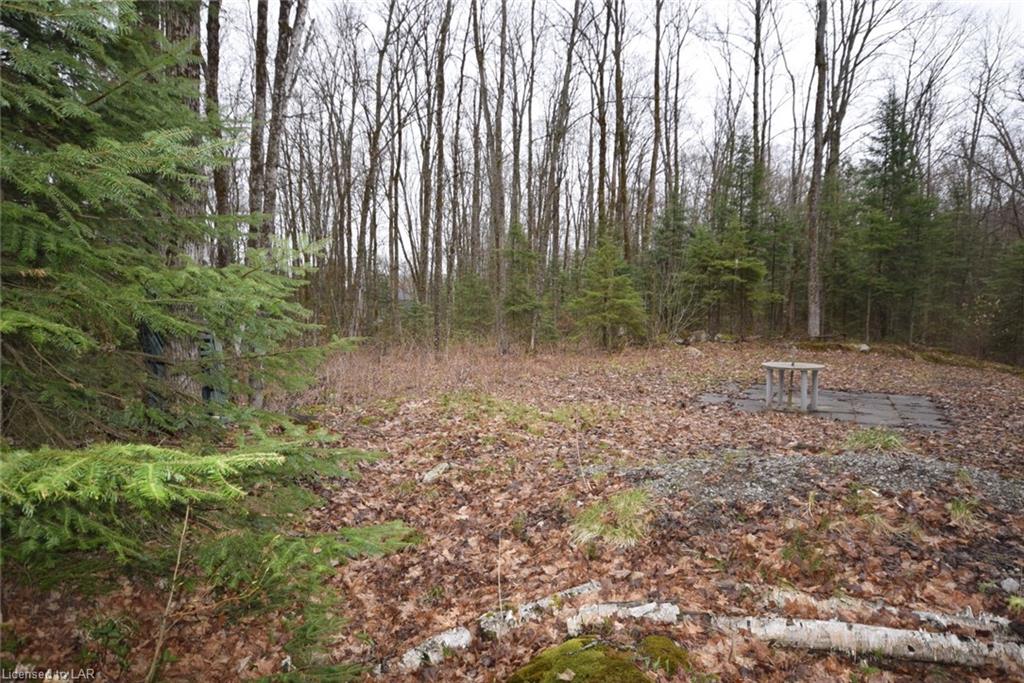 - SALERNO LAKE Road, Haliburton, Ontario (ID 257873)