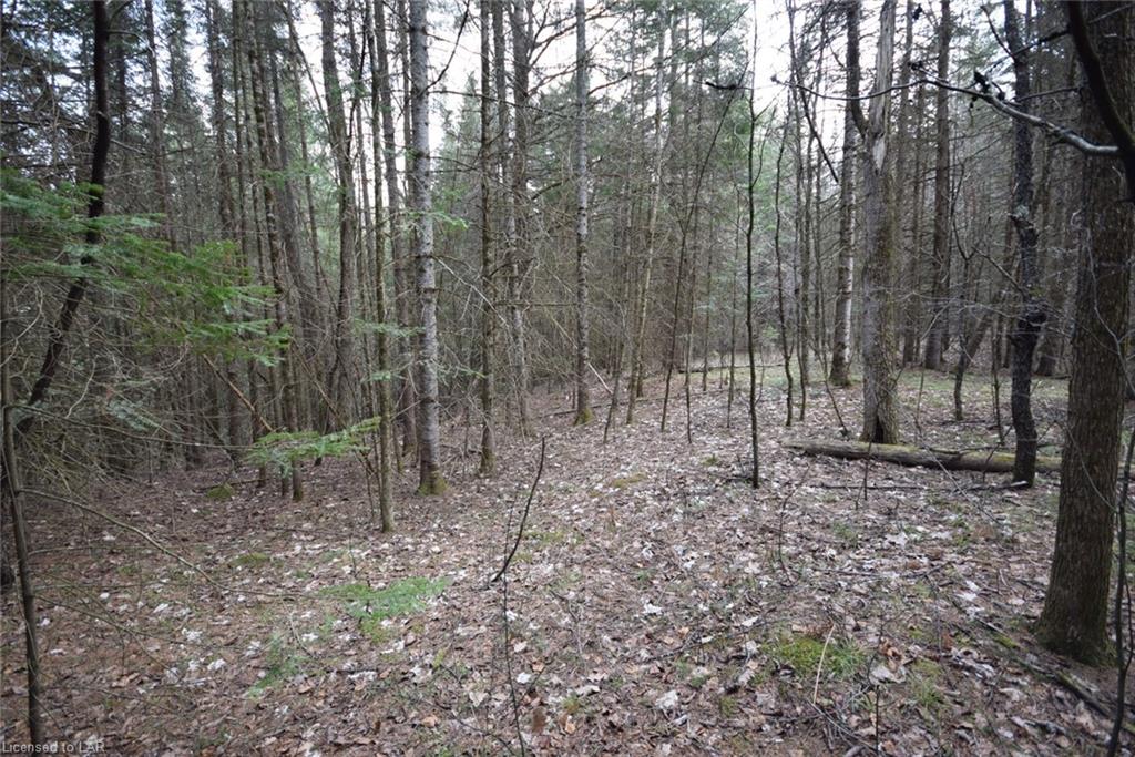 1 STUDIO Lane, Haliburton, Ontario (ID 258329)