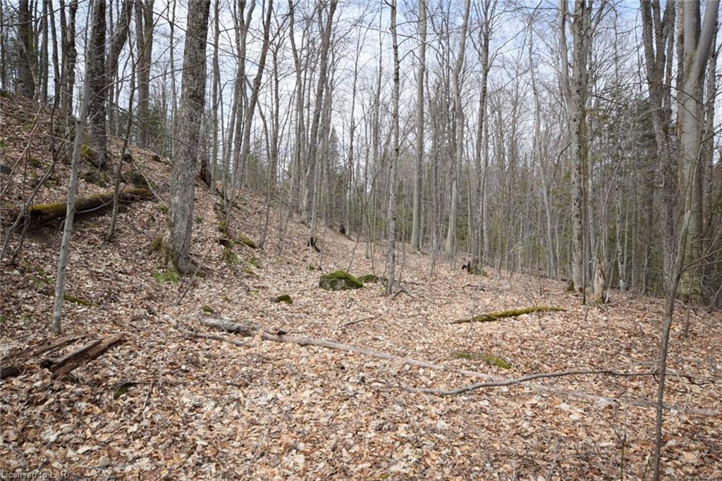 LOT 22 TOWER Road, Haliburton, Ontario (ID 259717)