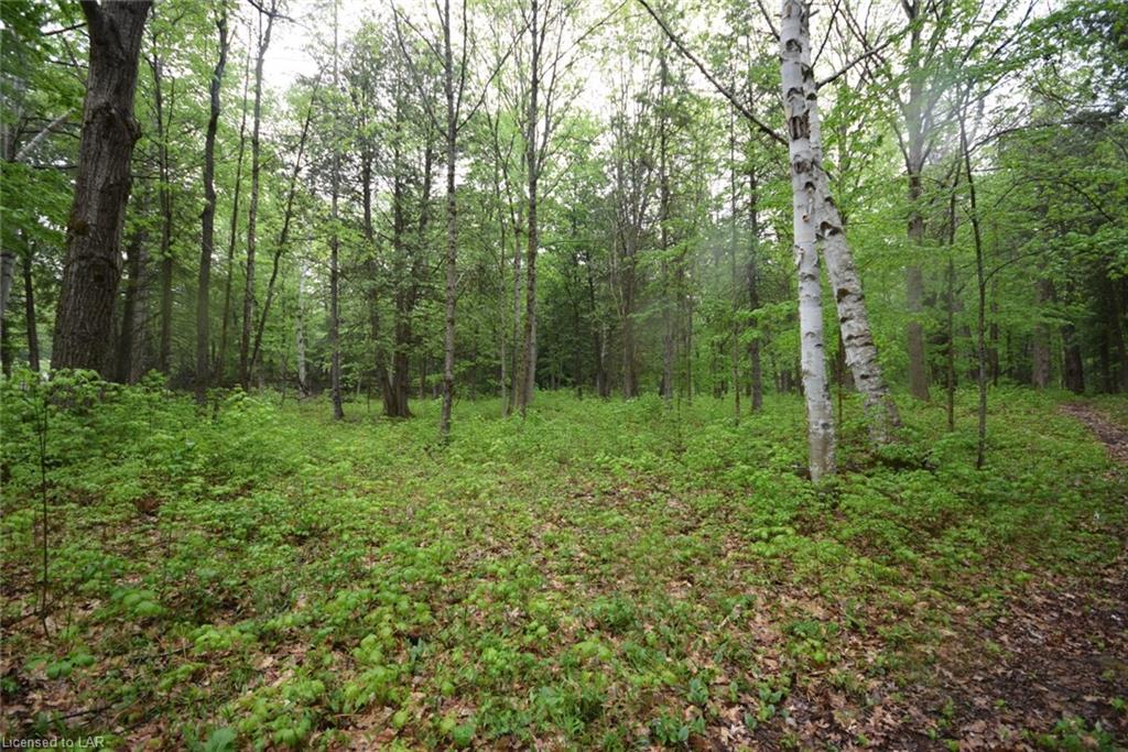 1097 EUREKA Road, Haliburton, Ontario (ID 262184)