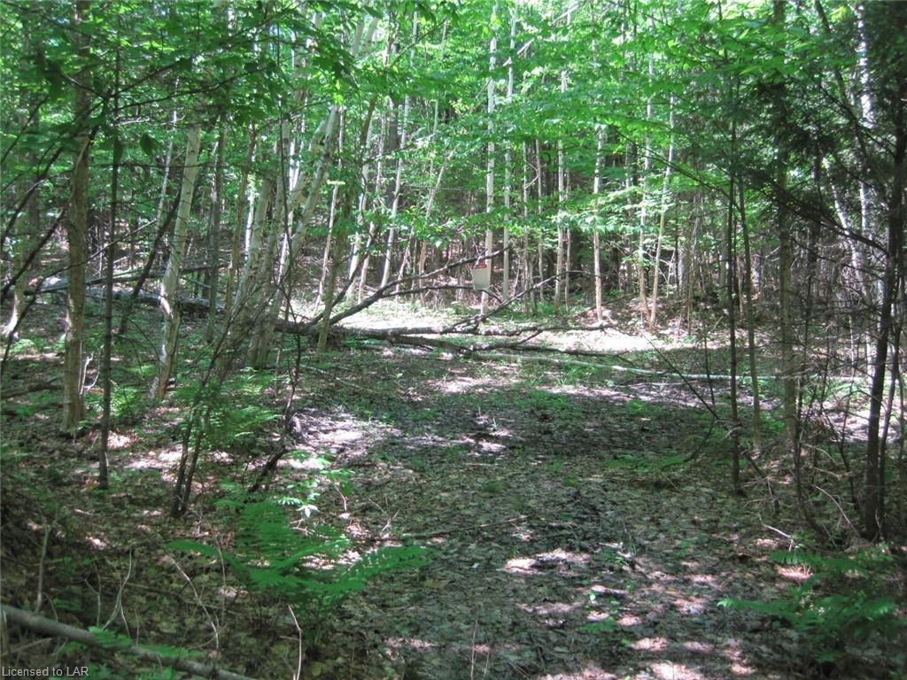 LOT 25 WEST COURT Place, Haliburton, Ontario (ID 264308)