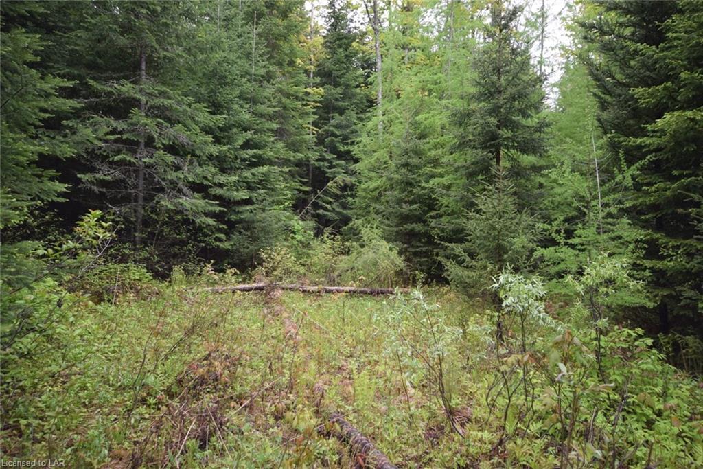 LOT 29 HARBURN Road, Haliburton, Ontario (ID 271707)