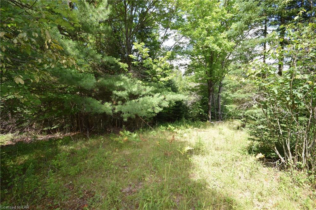 LOT 25 CATTAIL Road, Haliburton, Ontario (ID 275299)