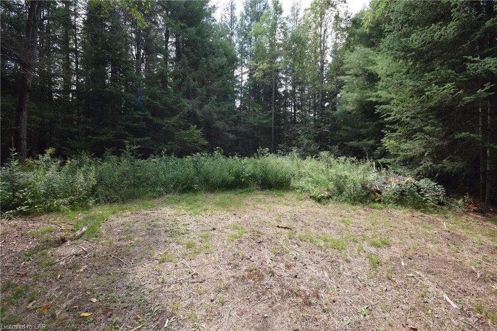 - PINE Avenue, Haliburton, Ontario (ID 40011541)