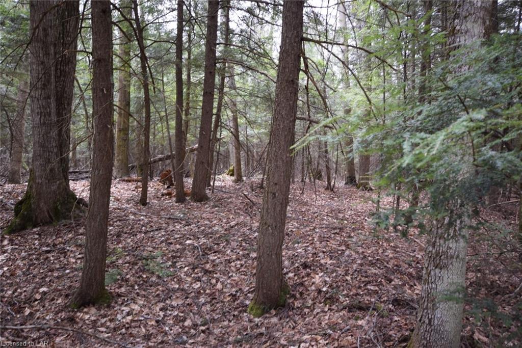 LT 116 BASSHAUNT LAKE Road, Haliburton, Ontario (ID 259745)