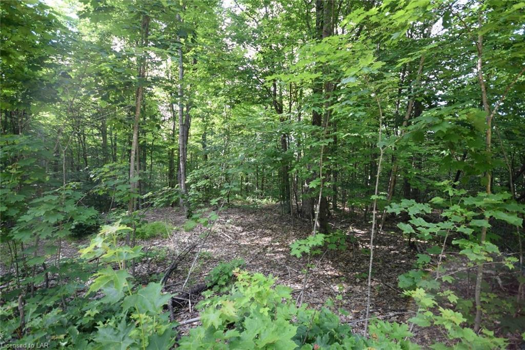 LOT 42 SOUTH Drive, Eagle Lake Village, Ontario (ID 270434)
