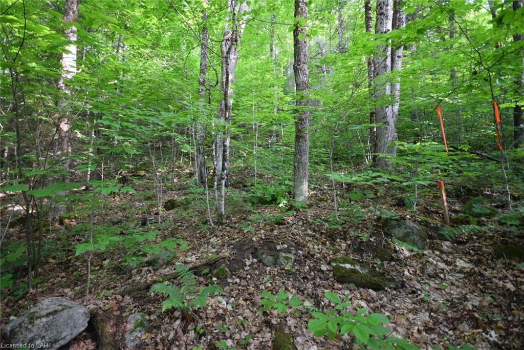 . FRED JONES Road, Haliburton, Ontario (ID 40032570)