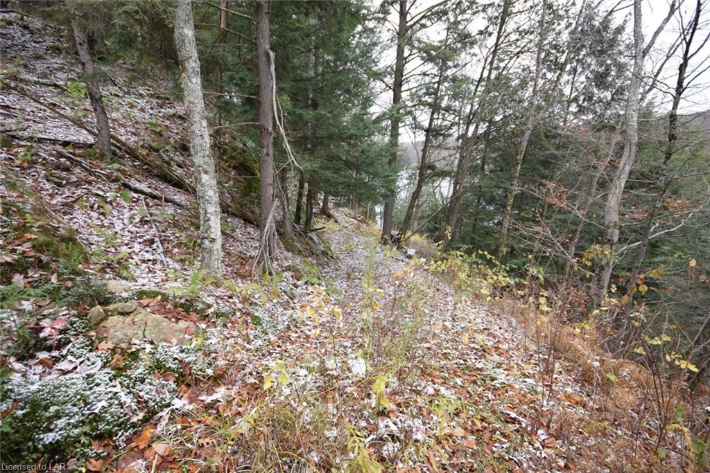 1041 ODESSA Trail, Haliburton, Ontario (ID 270393)