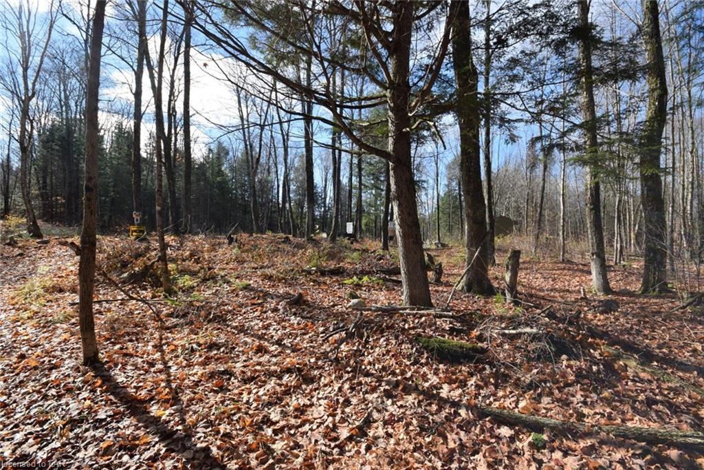 . 30TH Line, Haliburton, Ontario (ID 40038261)