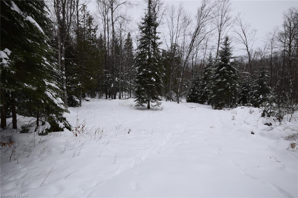 LOT 18 ANGEL Road, Eagle Lake Village, Ontario (ID 40056165)