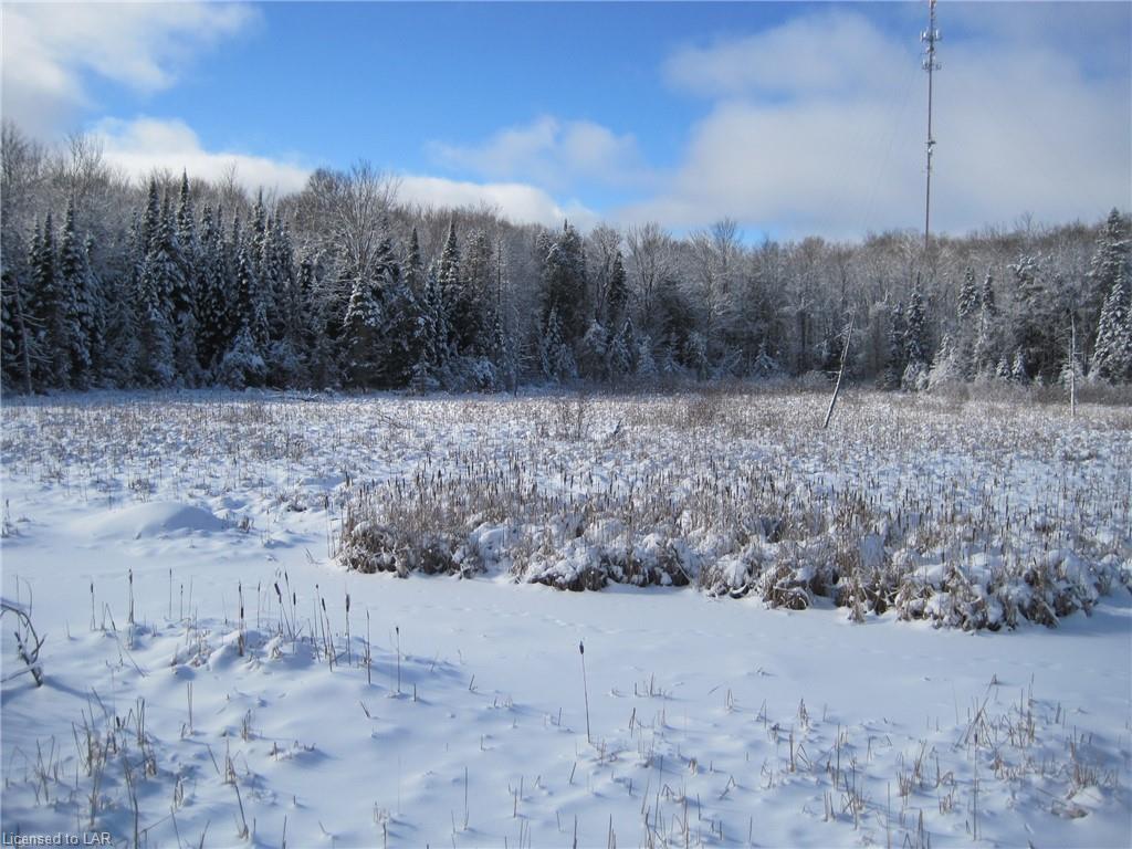 . HIGHWAY 118, Haliburton, Ontario (ID 40057765)