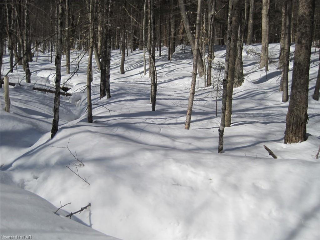 . BASSHAUNT LAKE Road, Eagle Lake Village, Ontario (ID 40075963)